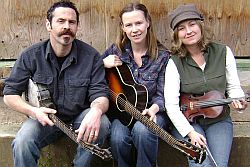 The Haints
